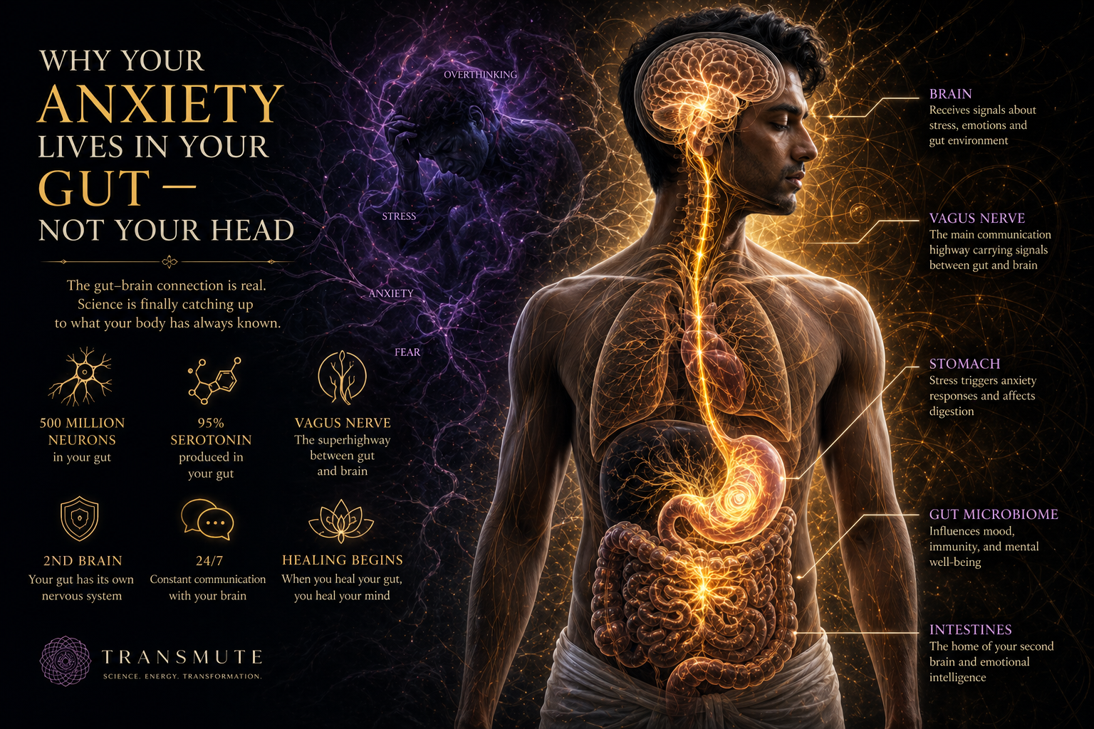 Your Anxiety Is Not in Your Head. It Lives in Your Gut. Your Anxiety Is Not in Your Head. It Lives in Your Gut.